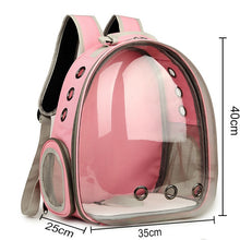 Load image into Gallery viewer, Free shipping Cat bag Breathable Portable Pet Carrier Bag Outdoor Travel backpack for cat and dog Transparent Space pet Backpack
